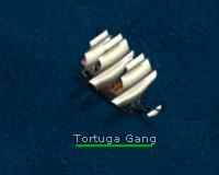 tortuga.jpg