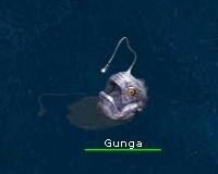 gunga.jpg