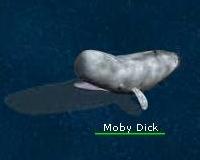 mobydick.jpg